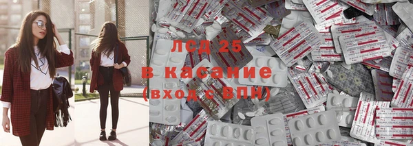 ГАЛЛЮЦИНОГЕННЫЕ ГРИБЫ Алзамай