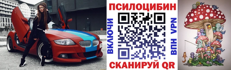Псилоцибиновые грибы мухоморы  darknet как зайти  Новосиль  ссылка на мегу ТОР 